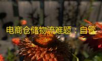 电商仓储物流难题	：自管仓模式的高能耗与智能化云仓托管的优势
